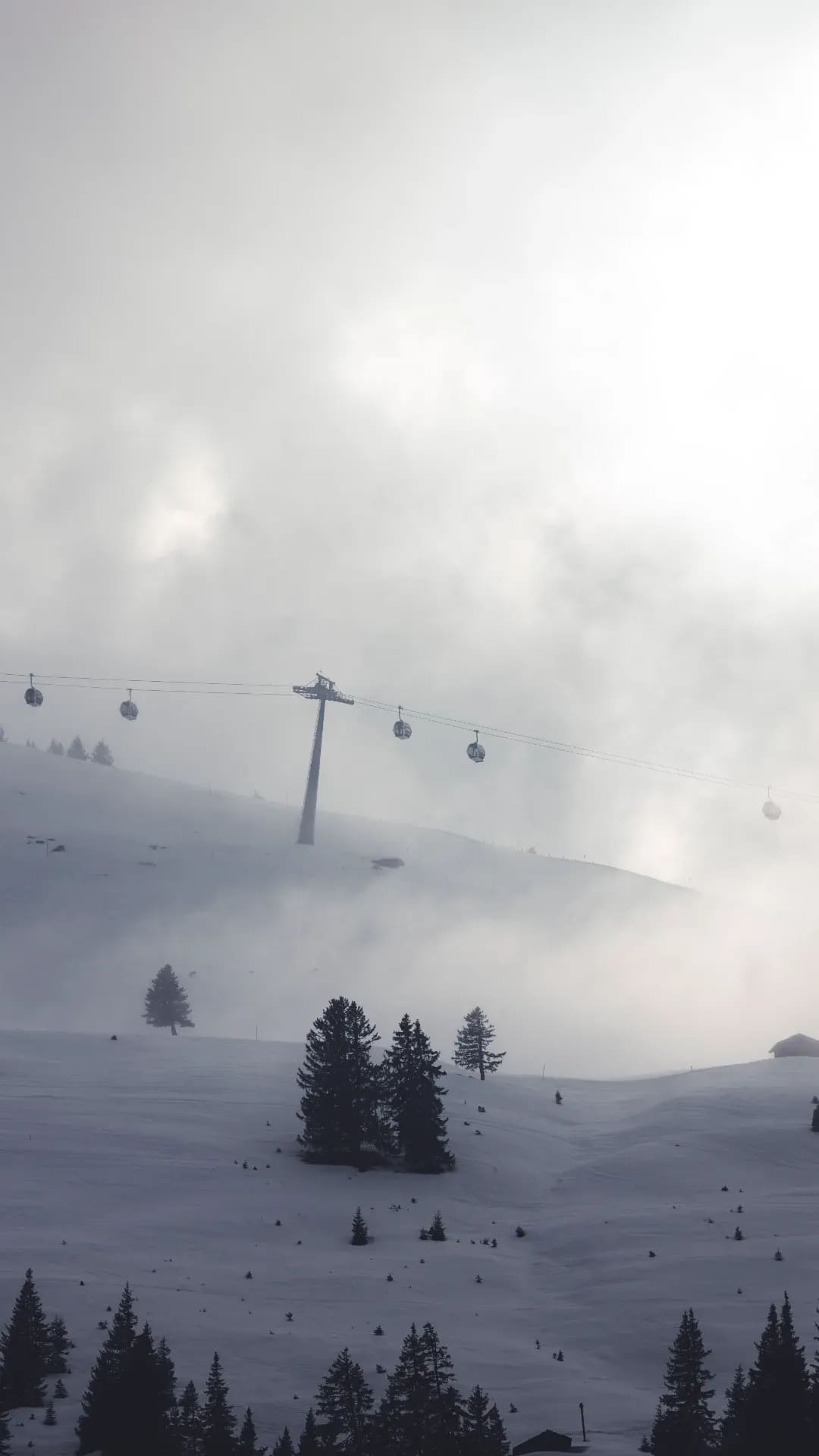 Gondelbahn im Nebel über verschneiten Tannen