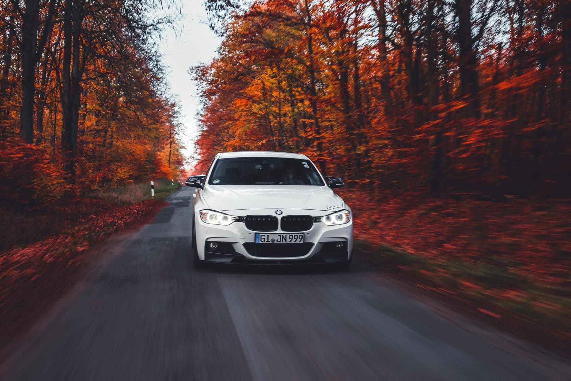 Weiße Limousine frontal auf einer Allee mit rot verfärbtem Herbstlaub