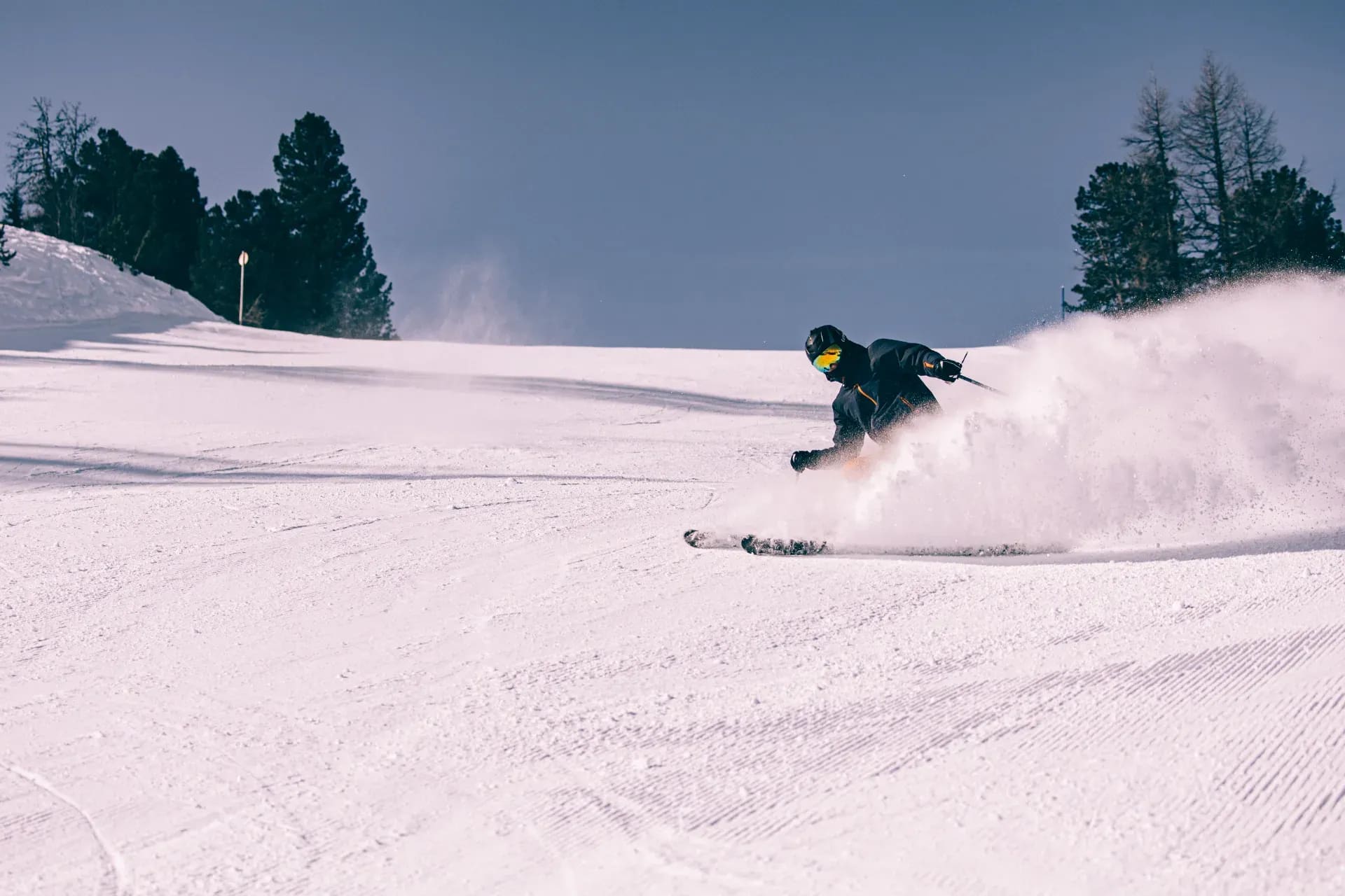 Skifahrer zieht eine Kurve vor dunklen Bäumen