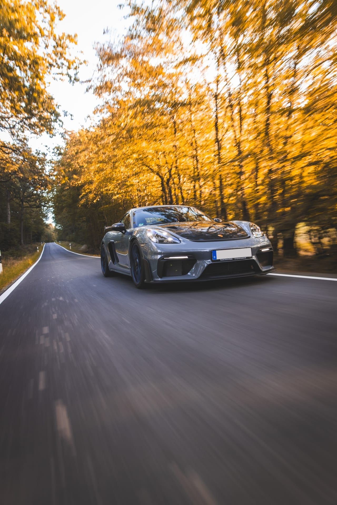 Grauer Sportwagen in Fahrt auf einer Allee mit goldenem Herbstlaub
