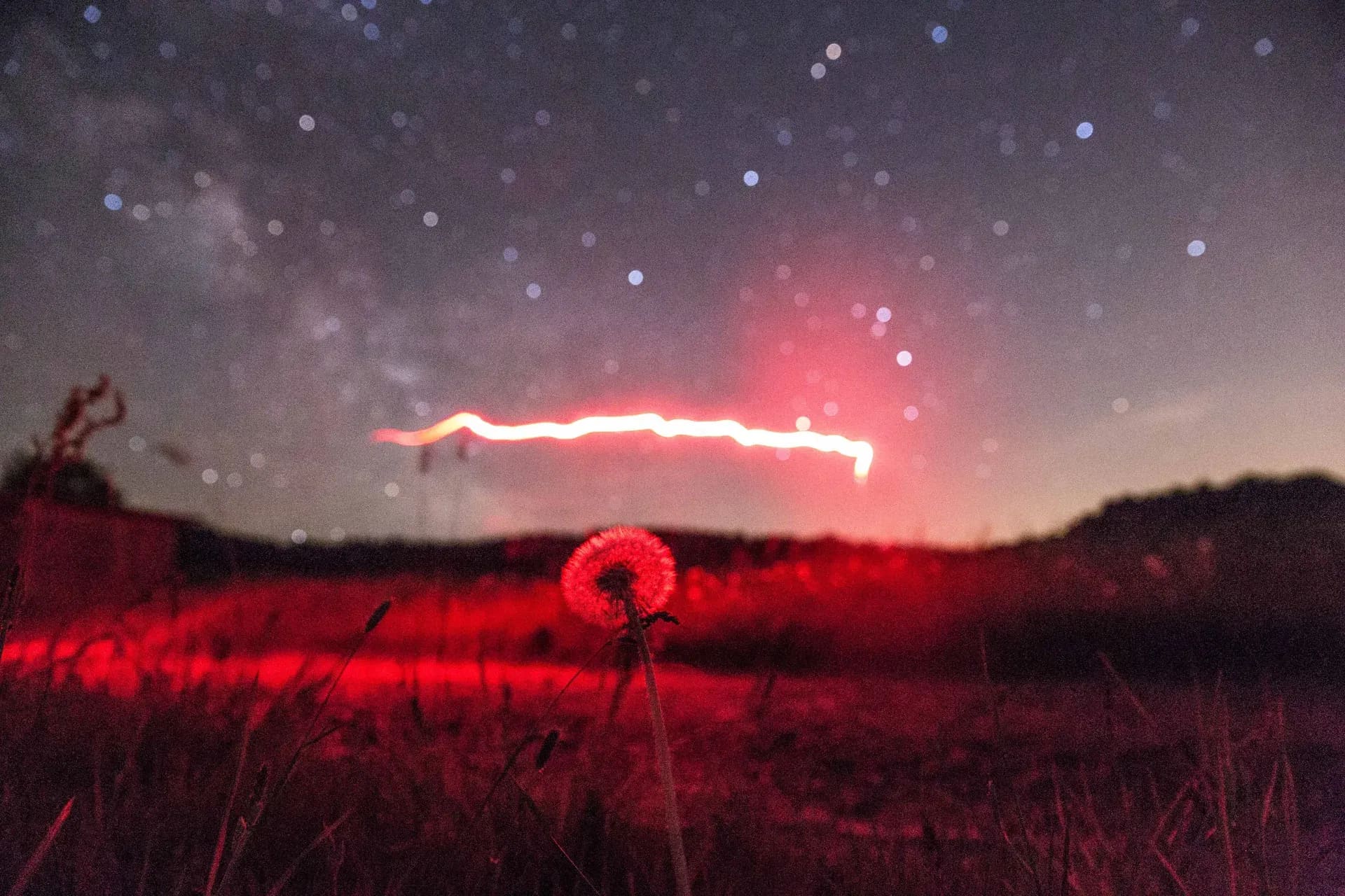 Rot ausgeleuchtetes Feld mit Pusteblume unter der Milchstraße