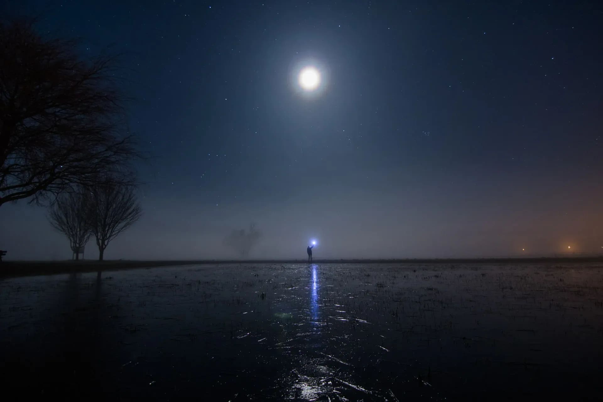 Mondlicht über einer überschwemmten Wiese mit kahlem Baum