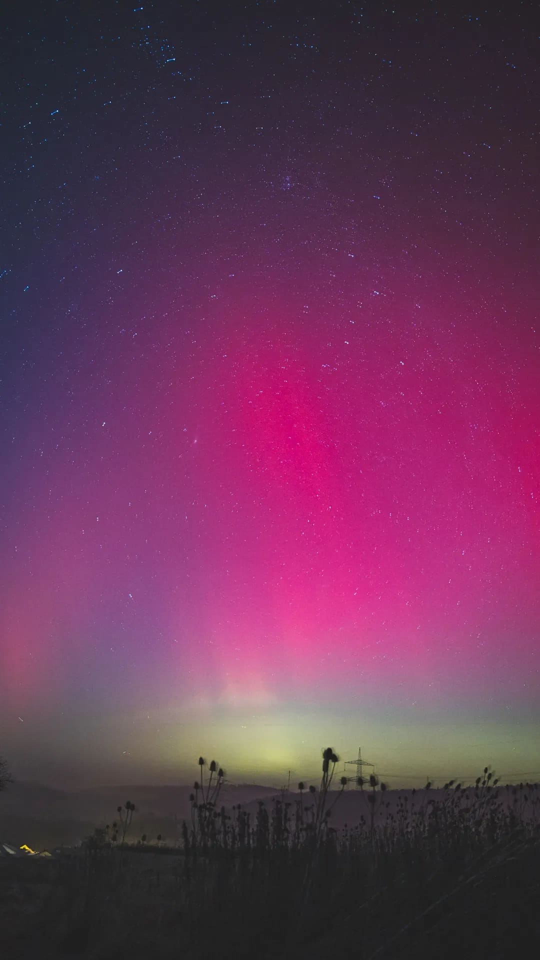 Rosafarbenes Polarlicht über einem Feld