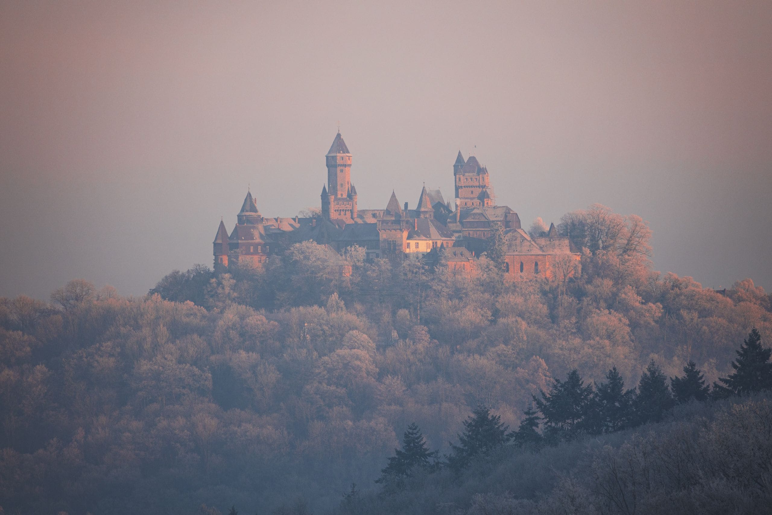 Schloss auf dem Hügel über raureifbedecktem Wald