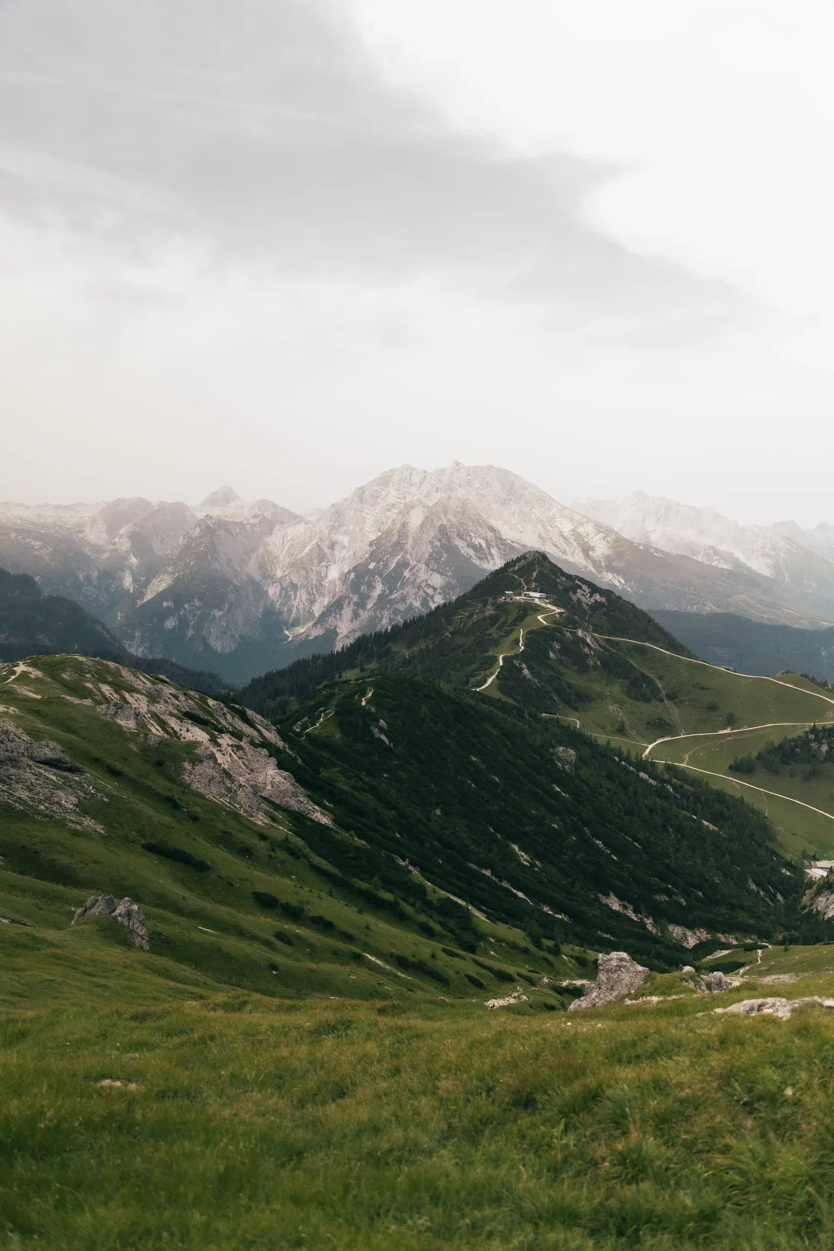 Grüner Bergrücken mit Wanderweg, Kalkgipfel dahinter