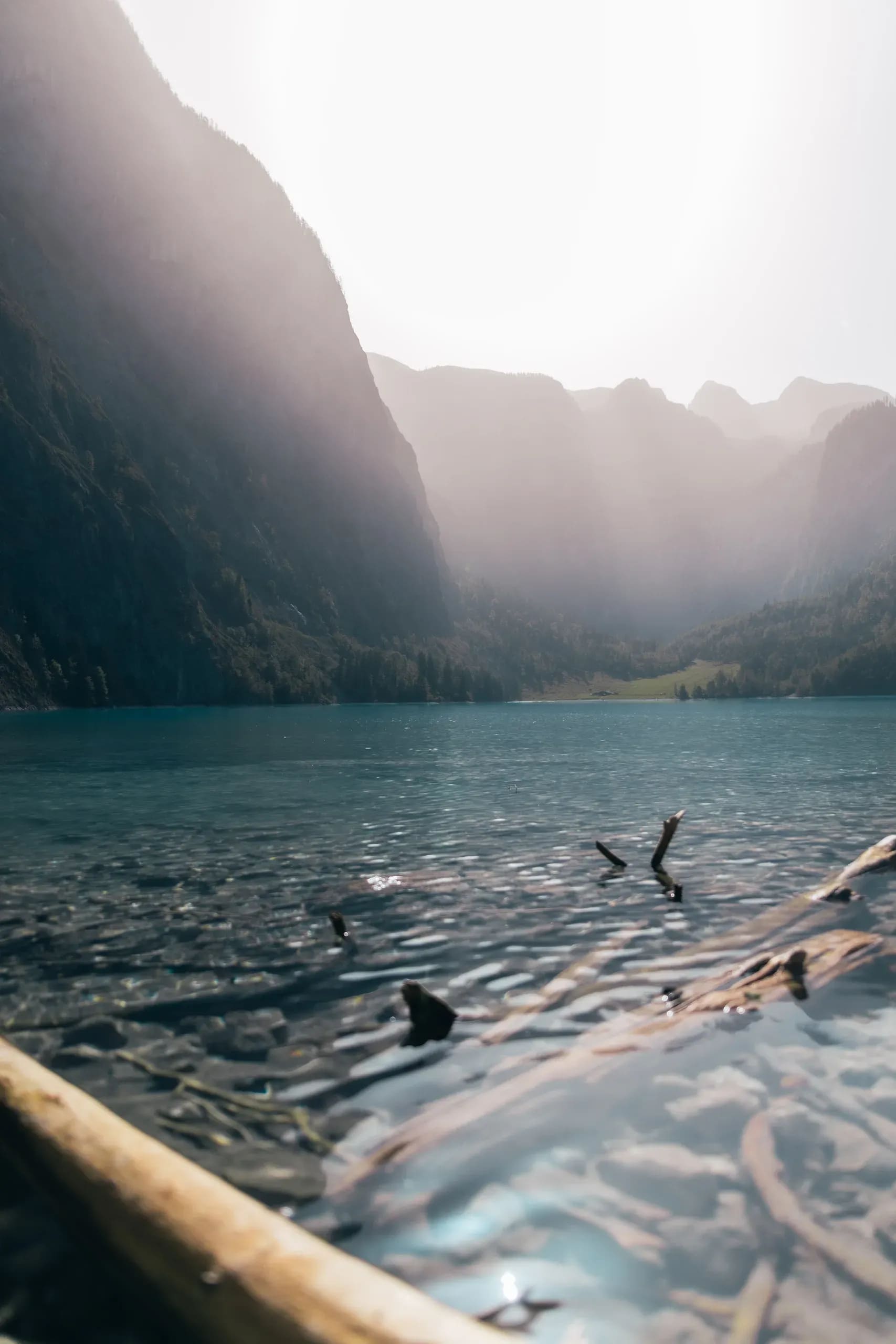 Klares Wasser mit versunkenem Geäst vor einer Felswand