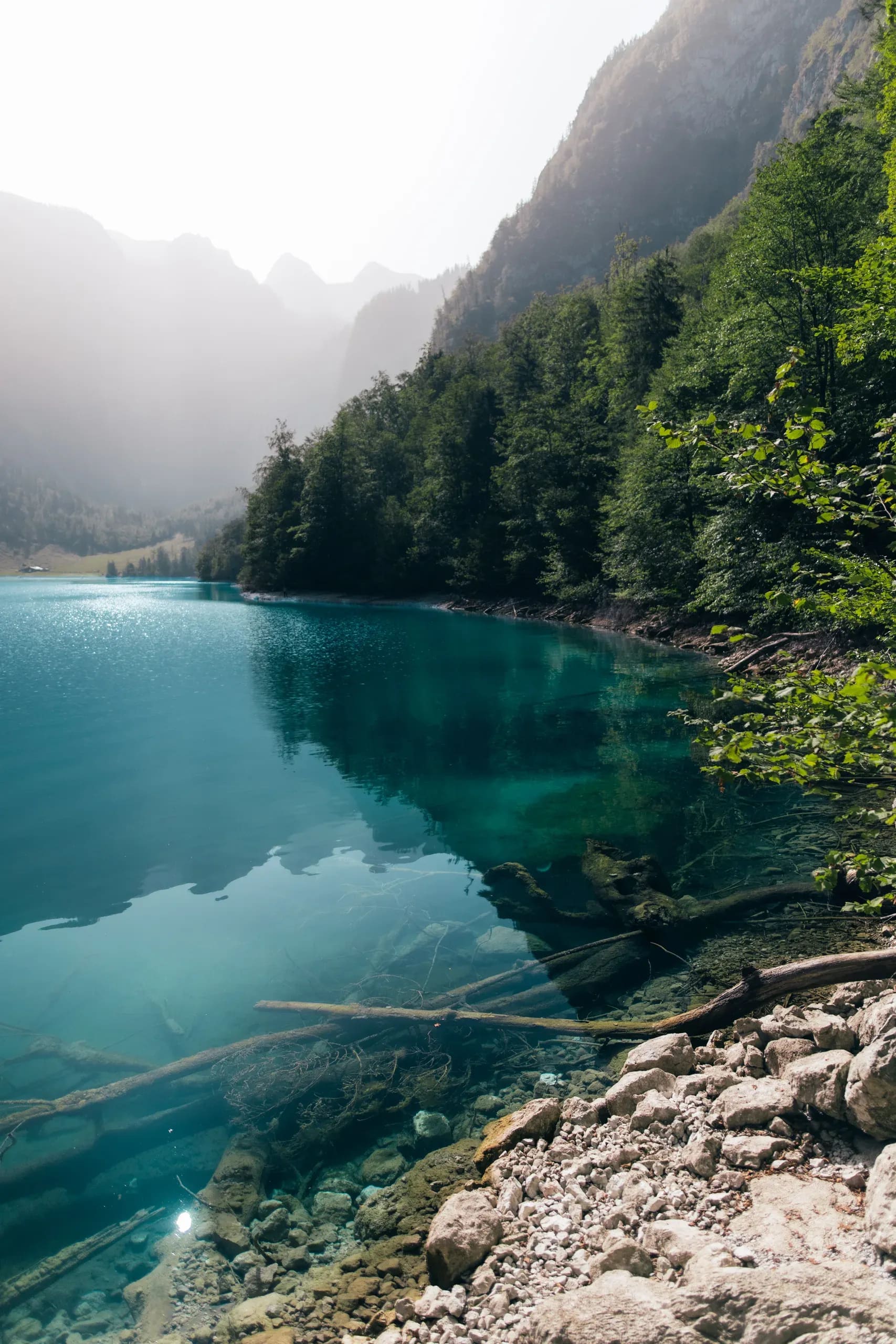 Türkiser Bergsee zwischen bewaldeten Steilhängen