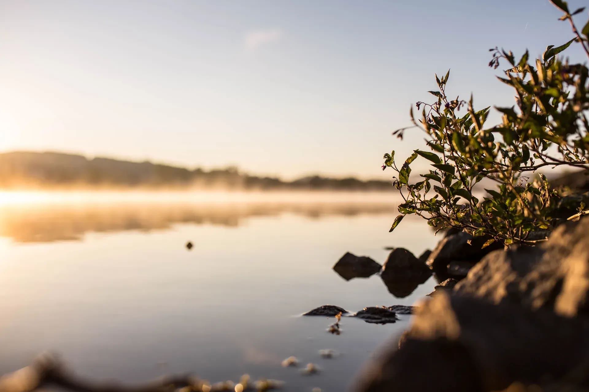 Morgennebel über einem stillen See im ersten Licht