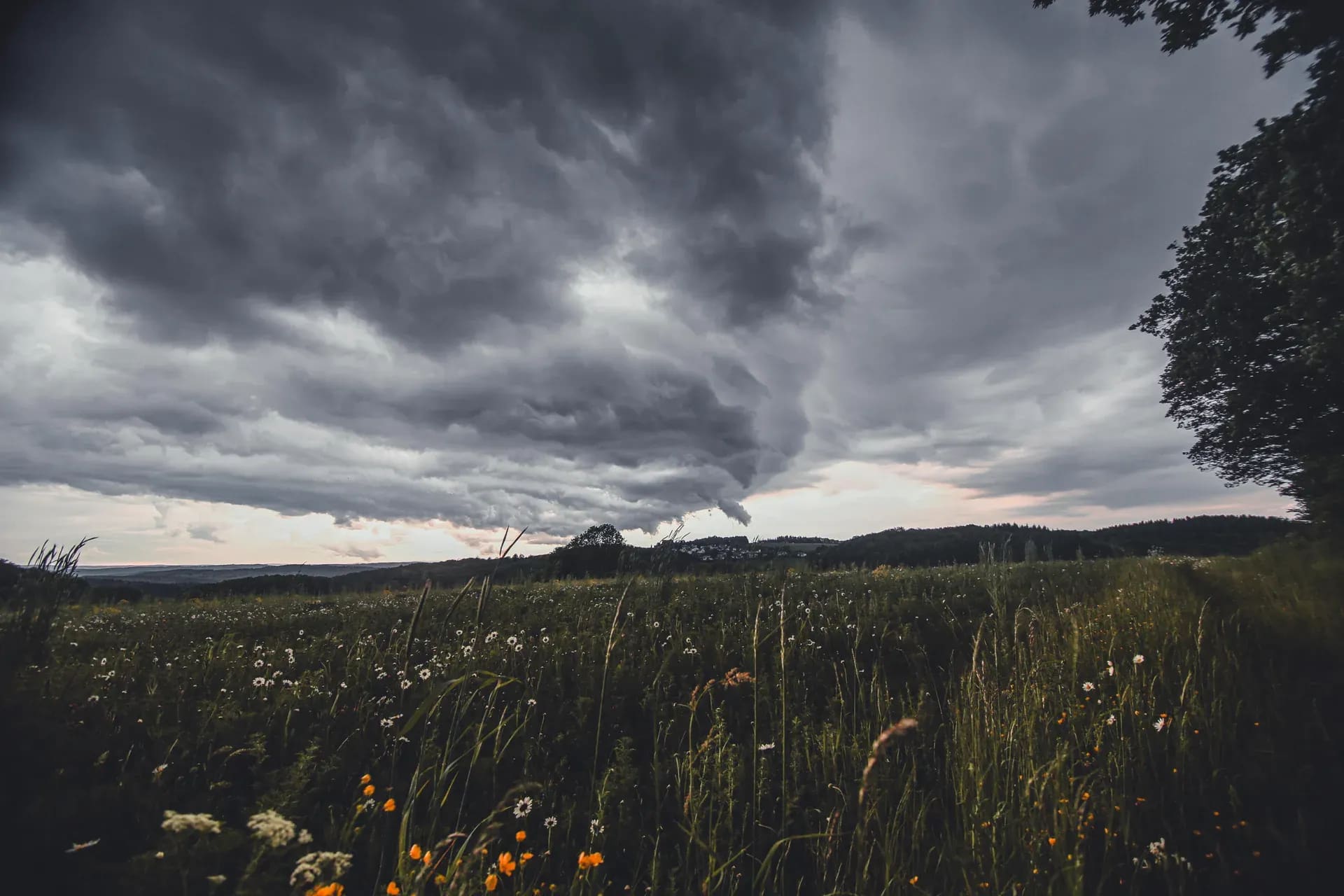 Dunkle Wolken über einer Sommerwiese