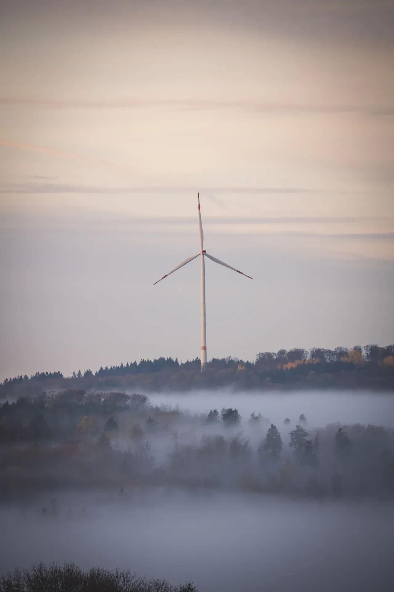 Windrad über einem Nebelmeer